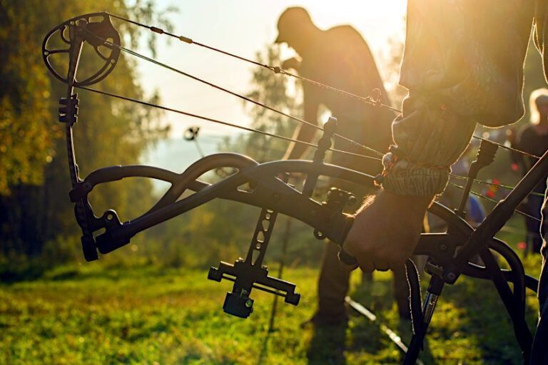 Dual-Cam vs. Single-Cam – Which Compound Bow to Choose